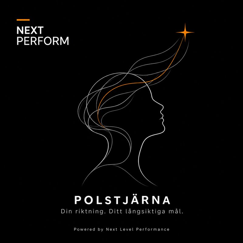 Polstjärna